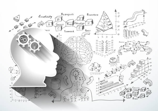 What Are the 4D’s of Design Thinking?