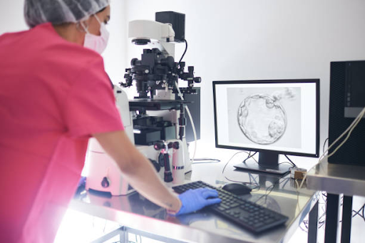 How AI Helps Choose the Best IVF Embryos